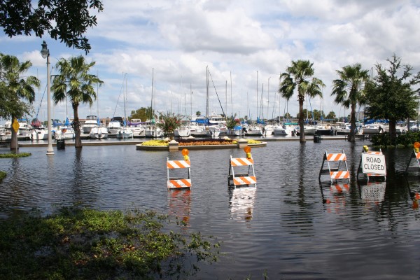 Flood in marina