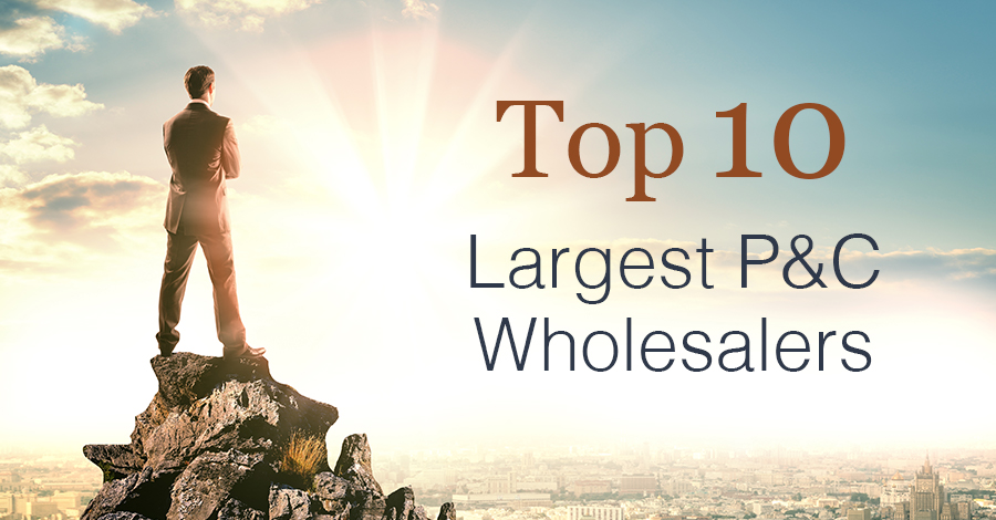Top 10 Largest P&C Wholesalers award, Man standing on mountain